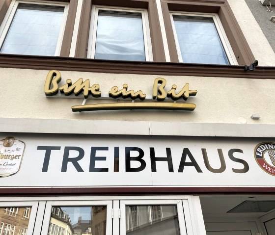 Logo Treibhaus, © Celine Junker