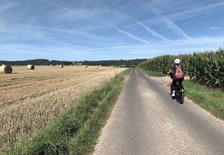 Radfahrer auf dem Eifel-Pilger-Radweg, © Tourist-Information-Wittlich-Stadt-Land Radfahrer auf dem Eifel-Pilger-Radweg, © Tourist-Information-Wittlich-Stadt-Land