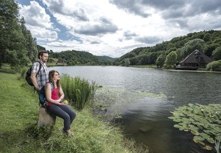 riedener-seeblick_waldsee-rieden-15-klein_1, © Kappest/REMET riedener-seeblick_waldsee-rieden-15-klein_1, © Kappest/REMET