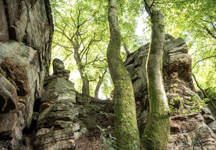 Felsen bei der Mandrack Passage im NaturWanderPark delux, © Eifel Tourismus GmbH, D. Ketz Felsen bei der Mandrack Passage im NaturWanderPark delux, © Eifel Tourismus GmbH, D. Ketz