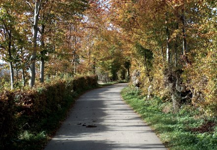 Wandeltocht Heckenlandroute, © Monschauer Land Wandeltocht Heckenlandroute, © Monschauer Land