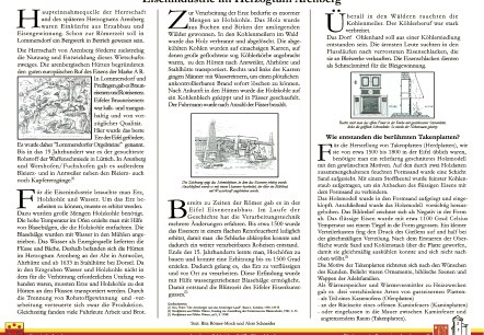 Infotafel 2 (Vorderseite), © Förderverein Burgruine Arenberg e.V. Infotafel 2 (Vorderseite), © Förderverein Burgruine Arenberg e.V.