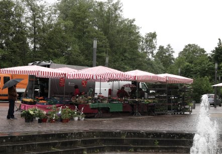 Wochenmarkt Wittlich - Le stand de fruits et légumes de Piet, © Kulturamt Stadt Wittlich Wochenmarkt Wittlich - Le stand de fruits et légumes de Piet, © Kulturamt Stadt Wittlich