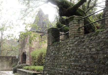 Kasteel Roth, © Felsenland Südeifel Tourismus GmbH Kasteel Roth, © Felsenland Südeifel Tourismus GmbH
