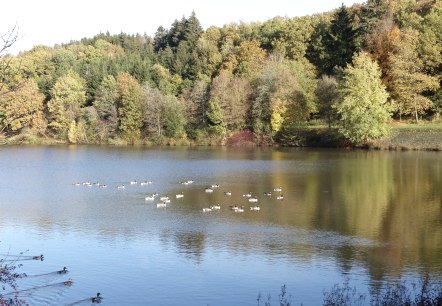 Enten auf dem Stausee, © Tourist-Information Islek, Ingrid Wirtzfeld Enten auf dem Stausee, © Tourist-Information Islek, Ingrid Wirtzfeld