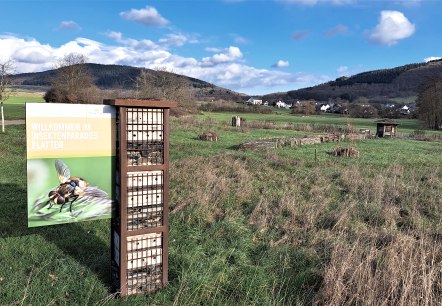 Les plaques, paradis des insectes, © Monika Marmann Les plaques, paradis des insectes, © Monika Marmann