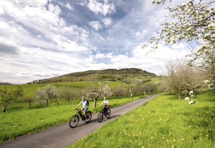 Au printemps, le voyage à vélo traverse des prés-vergers en fleurs dans le parc naturel de l'Eifel du Sud., © Eifel Tourismus GmbH, Dominik Ketz Au printemps, le voyage à vélo traverse des prés-vergers en fleurs dans le parc naturel de l'Eifel du Sud., © Eifel Tourismus GmbH, Dominik Ketz