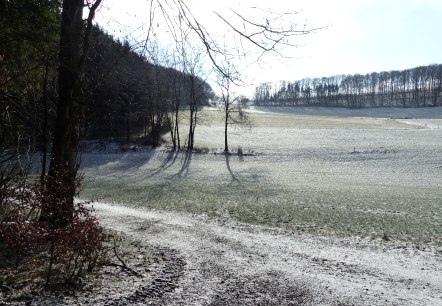 Tal des Holmicht-Bachs, © Tourist-Information Islek Tal des Holmicht-Bachs, © Tourist-Information Islek