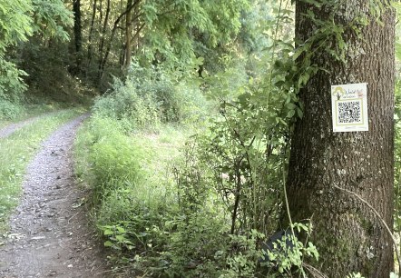 Schild Schild