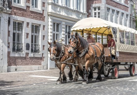Kutsche, © Gottfried Carls Kutsche, © Gottfried Carls