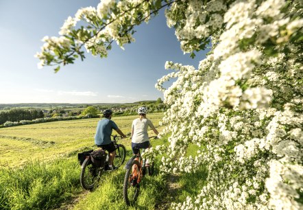 ET-2023-142-Nims Radweg, Messerich-©Eifel Tourismus GmbH, Dominik Ketz, © Eifel Tourismus GmbH, Dominik Ketz ET-2023-142-Nims Radweg, Messerich-©Eifel Tourismus GmbH, Dominik Ketz, © Eifel Tourismus GmbH, Dominik Ketz