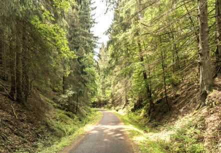 Radweg in der Eifel, © Eifel Tourismus GmbH, Dominik Ketz Radweg in der Eifel, © Eifel Tourismus GmbH, Dominik Ketz