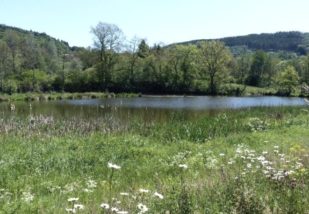 Stausee Irsental, © Tourist-Info Islek, Ingrid Wirtzfeld Stausee Irsental, © Tourist-Info Islek, Ingrid Wirtzfeld