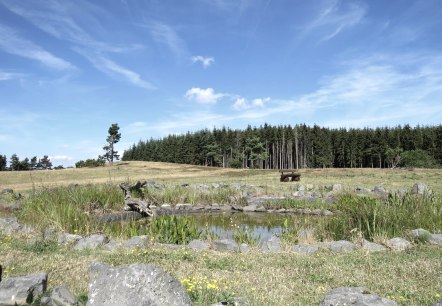 Der "Heidetümpel" auf dem Kindgen, © Foto: Svenja Schulze-Entrup, Quelle: Touristik-Büro Vordereifel Der "Heidetümpel" auf dem Kindgen, © Foto: Svenja Schulze-Entrup, Quelle: Touristik-Büro Vordereifel