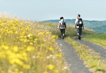 Wandern in der Eifel, © Ahrtaltourismus e.V. Wandern in der Eifel, © Ahrtaltourismus e.V.
