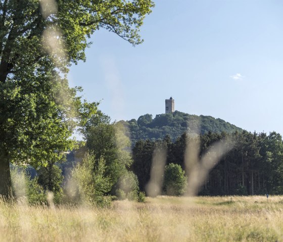 Burg Olbrück von Weitem, © Kappest/Vulkanregion Laacher See