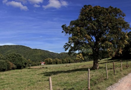 Blick über Felder und Wiesen Blick über Felder und Wiesen