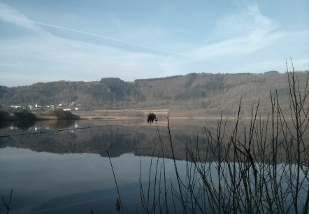 Das Meerfelder Maar, © GesundLand Vulkaneifel GmbH Das Meerfelder Maar, © GesundLand Vulkaneifel GmbH