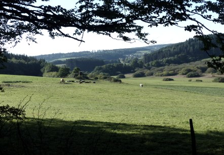 Aussicht Vulkaneifel, © Gesundland Vulkaneifel GmbH Aussicht Vulkaneifel, © Gesundland Vulkaneifel GmbH