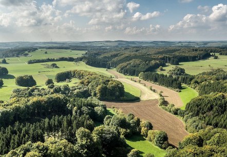 Panorama-Waldbild Prümer Land, © Tourist-Information Prüm/Naturpark Nordeife Panorama-Waldbild Prümer Land, © Tourist-Information Prüm/Naturpark Nordeife
