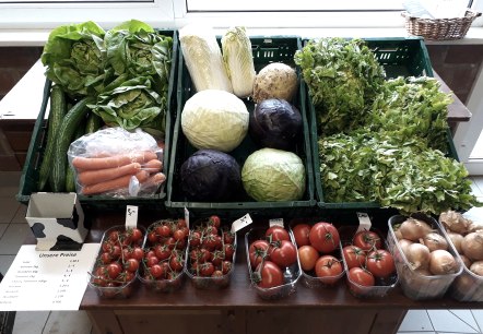 Magasin de légumes, © Lukas Hofladen Magasin de légumes, © Lukas Hofladen