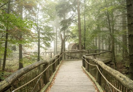 Wilder Weg, © Nationalparkverwaltung Eifel, D. Ketz Wilder Weg, © Nationalparkverwaltung Eifel, D. Ketz