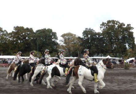 Paardenmarkt, © Marktamt Stadt Mayen Paardenmarkt, © Marktamt Stadt Mayen