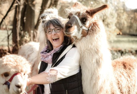 Lama, © julia Samans Lama, © julia Samans