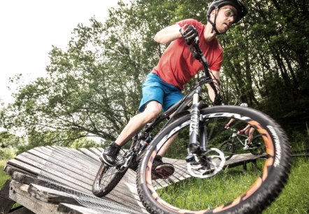 Mountainbike-Park in der Eifel, © Rheinland-Pfalz Tourismus Gmbh/D. Ketz Mountainbike-Park in der Eifel, © Rheinland-Pfalz Tourismus Gmbh/D. Ketz