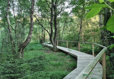 Passerelle du sentier des marais à Ormont, © Touristik GmbH Gerolsteiner Land -Leonie Post Passerelle du sentier des marais à Ormont, © Touristik GmbH Gerolsteiner Land -Leonie Post