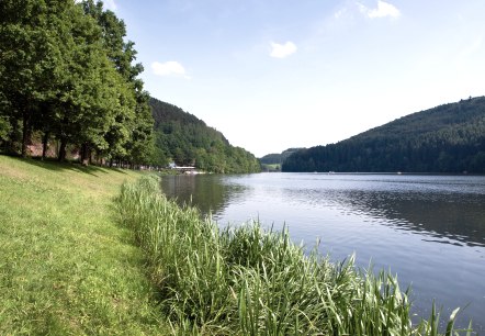 Stausee Ufer, © Tourist-Information Bitburger Land Stausee Ufer, © Tourist-Information Bitburger Land