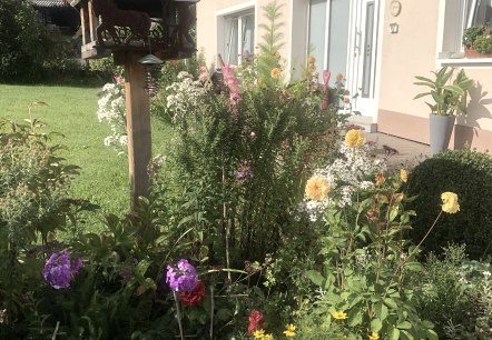 Bienvenue à la pension Jehnen Bienvenue à la pension Jehnen