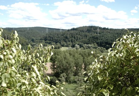 Butzerbachtal - Wald, © Deutsch-Luxemburgische Tourist-Info Butzerbachtal - Wald, © Deutsch-Luxemburgische Tourist-Info