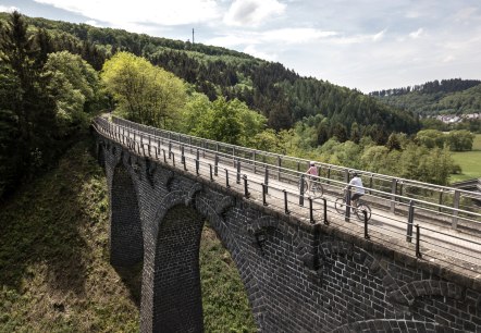 Cycle tour over the viaduct near Daun on the Maare-Moselle cycle path, © Eifel Tourismus GmbH, D. Ketz Cycle tour over the viaduct near Daun on the Maare-Moselle cycle path, © Eifel Tourismus GmbH, D. Ketz