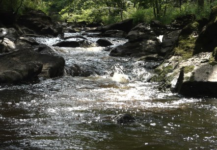 La Roer près de Monschau, © Monschau-Touristik La Roer près de Monschau, © Monschau-Touristik