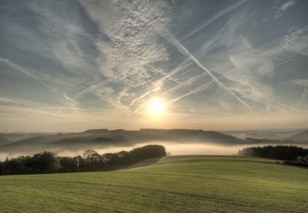 Prümtalweg, © Naturpark Südeifel, Pierre Haas Prümtalweg, © Naturpark Südeifel, Pierre Haas