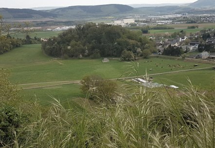 Lüxeberg, © Tourist Information Wittlich Stadt & Land Lüxeberg, © Tourist Information Wittlich Stadt & Land