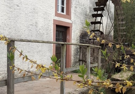 Moulin à huile avec roue à eau, © Tourist-Information Wittlich Stadt & Land Moulin à huile avec roue à eau, © Tourist-Information Wittlich Stadt & Land
