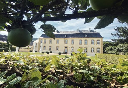 Außenansicht Schloss Niederweis, © Felsenland Südeifel Tourismus GmbH, AC Krebs Außenansicht Schloss Niederweis, © Felsenland Südeifel Tourismus GmbH, AC Krebs