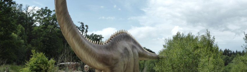 Dinosaurierpark Teufelsschlucht - Diplodocus, © Dinosaurierpark Teufelsschlucht