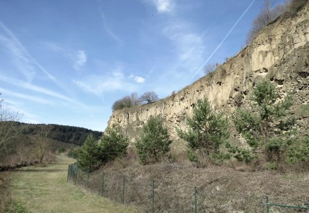 Blick auf die Steilwand der Ahl, © Foto: Svenja Schulze-Entrup, Quelle: Touristik-Büro Vordereifel Blick auf die Steilwand der Ahl, © Foto: Svenja Schulze-Entrup, Quelle: Touristik-Büro Vordereifel