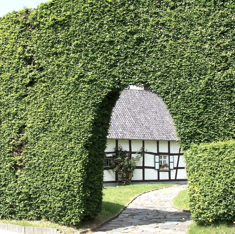Huis haag