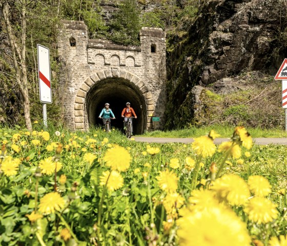 Enz-fietspad, oude spoorwegtunnel bij Neuerburg, © Eifel Tourismus GmbH, Dominik Ketz