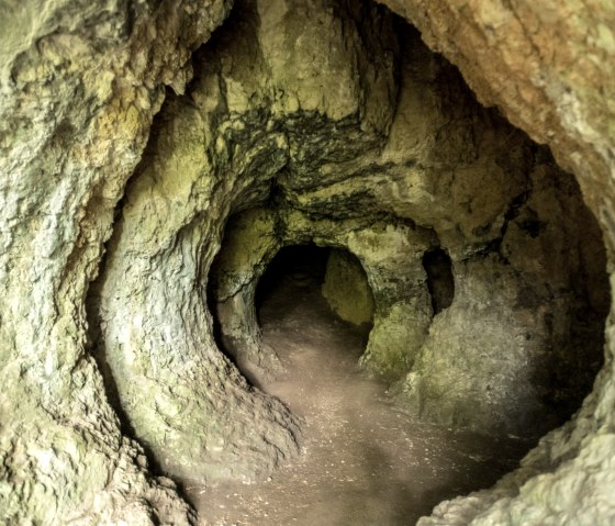Fascinante grotte de hêtre, © Eifel Tourismus GmbH, Dominik Ketz