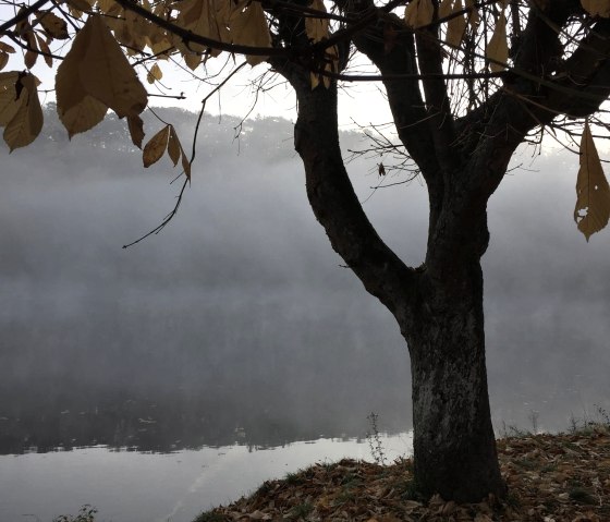 Maar im Nebel