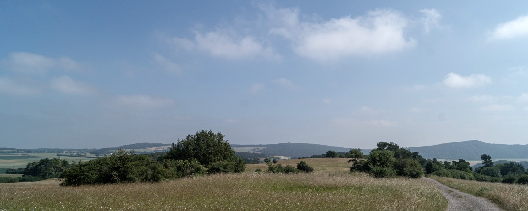 Eifelspoor kruidenpad - wilde kruidenweide, © Nordeifel Tourismus GmbH
