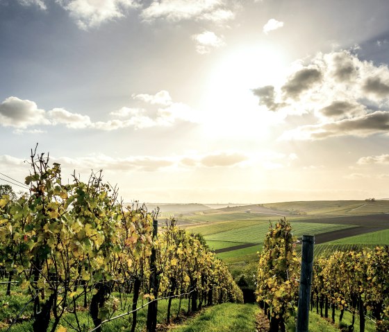 Auszeit in den Weinbergen