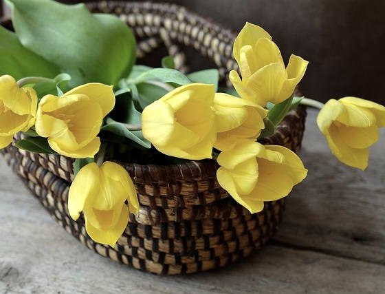 Frühling im Kuchers Genuss- und Businesshotel, © Kuchers Genuss- und Businesshotel OHG