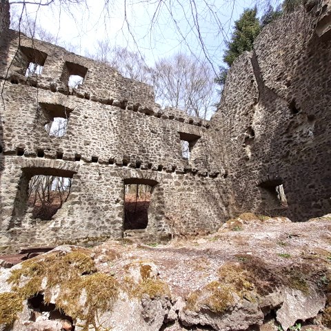 Ruines du château de Freudenkoppe, © Touristik GmbH Gerolsteiner Land, Ute Klinkhammer