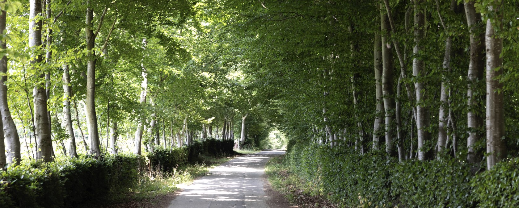 Chemin des haies à Eicherscheid, © Eifel Tourismus GmbH, Tobias Vollmer